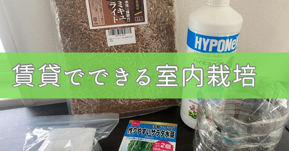 【水耕栽培】賃貸でも出来る水菜の室内自家栽培のやり方。